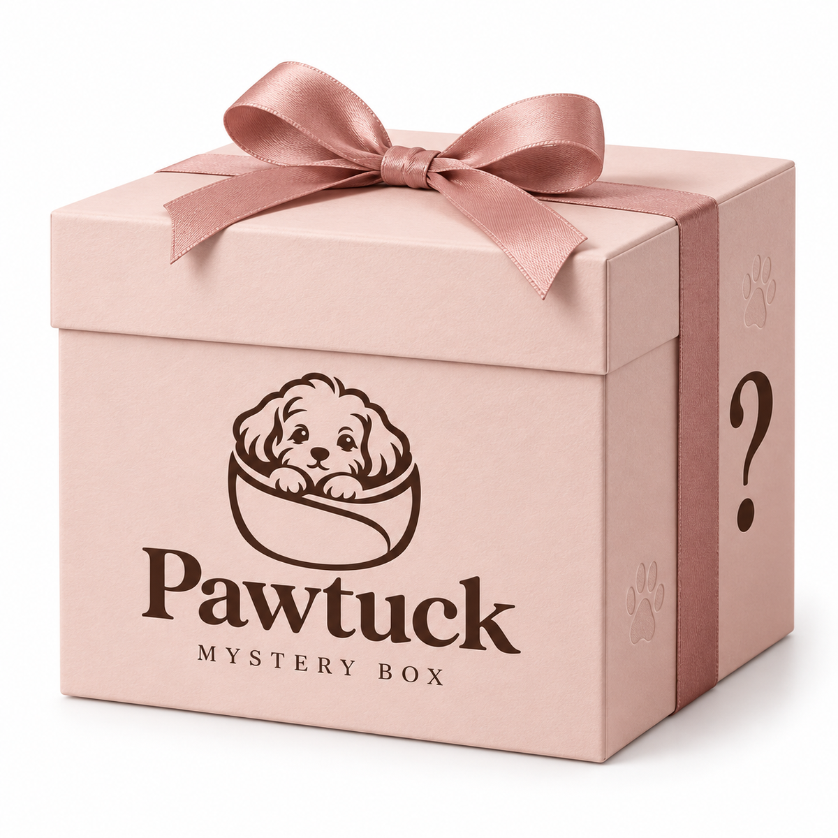 Mystery Pet Box 🎁